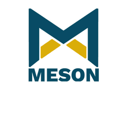 Meson