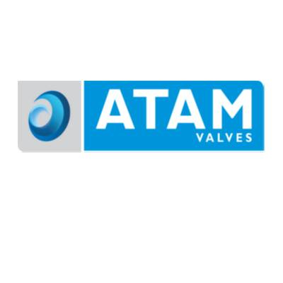 Atam Valves1